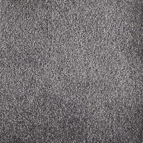 Carpet sample